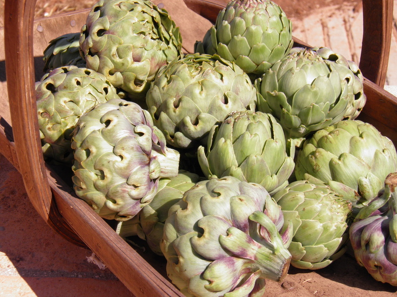 artichoke, food, produce, healthy, round, wellbeing, fruit, for sale, vegetable, ripe, raw food, container, large group of objects, market, high angle view