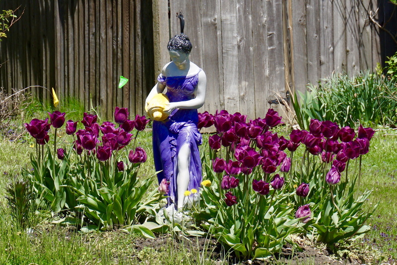 rear view, vulnerability, nature, people, water pitcher, bouquet, growth, standing, grass, human representation, artichoke, beauty in nature, flower arrangement