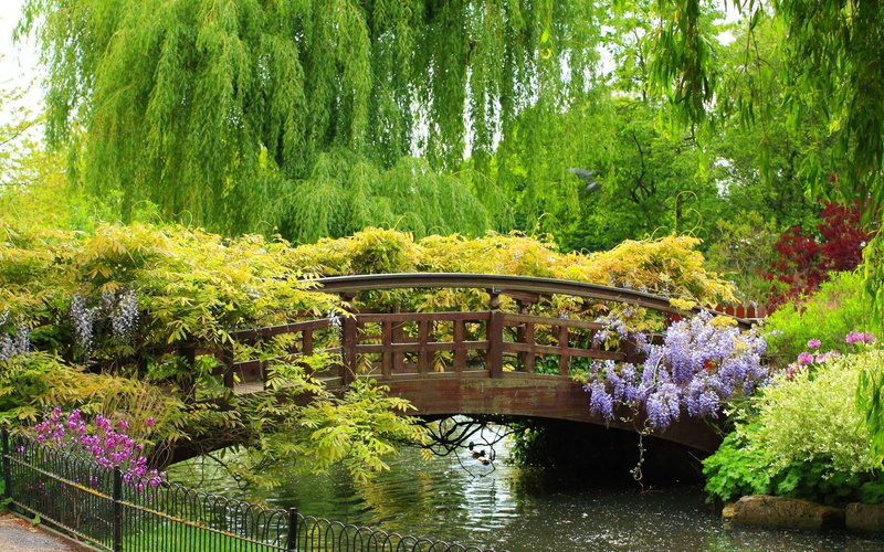 bridge, blooms, 3d and abstract, 1080P, green, time, spring