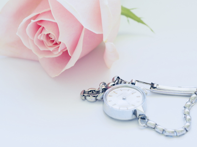 silver, clock, no people, watch, freshness, fashion, flowering plant, blooming, personal accessory, blossom, simple, precious, pink color, beautiful, anniversary
