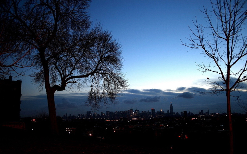 city, autumn, trees, outlines, branches, 1080P, distance