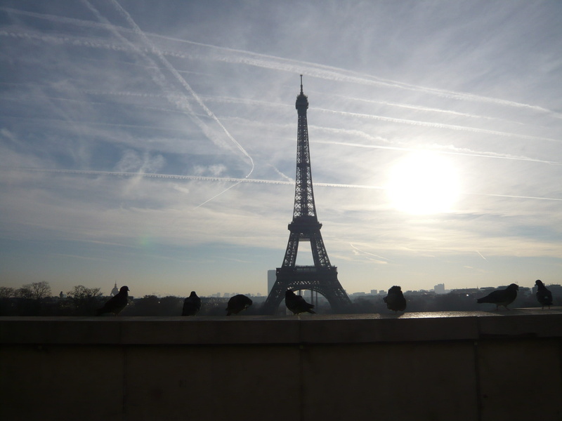 walk, paris, 2K, france, city, sun, tower, sunrise, building exterior, journey, view, vapor trail, cloud - sky, cozy, morning, distance, building, day
