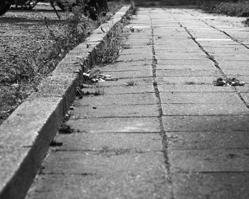 distance, footpath, paving stone, direction, walking, city, 2K, path, nature, light, street, stone, concrete, day, textured, run, no people, surface level