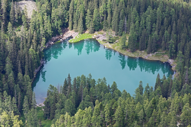 reflection, mountain lake, growth, water surface, green, day, pond, non-urban scene, stones, coniferous tree, austria, alpine, mountain landscape, scenics - nature