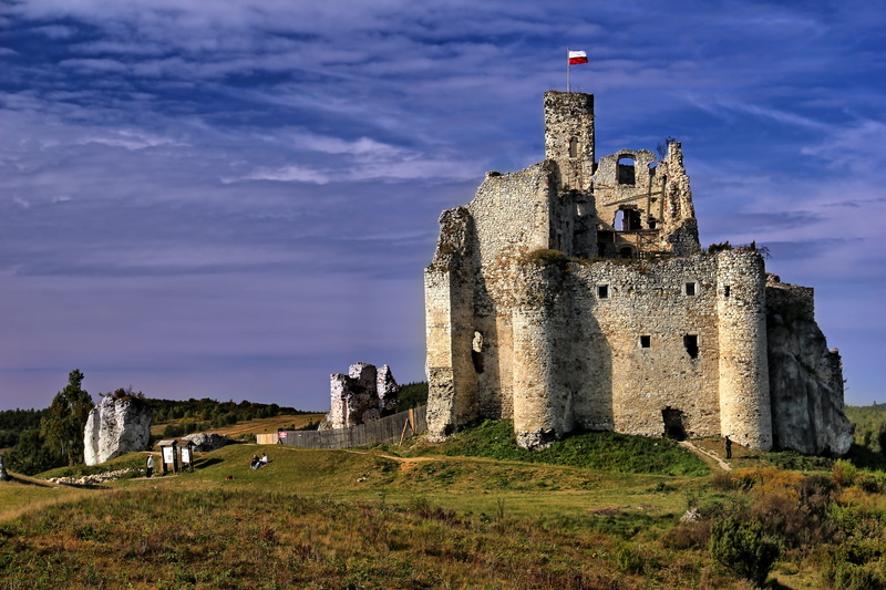 castle, medieval castle, jura, mirow, travel, nature, the past, fort, ancient, outdoors, grass, 5K, photography, ancient civilization, building exterior