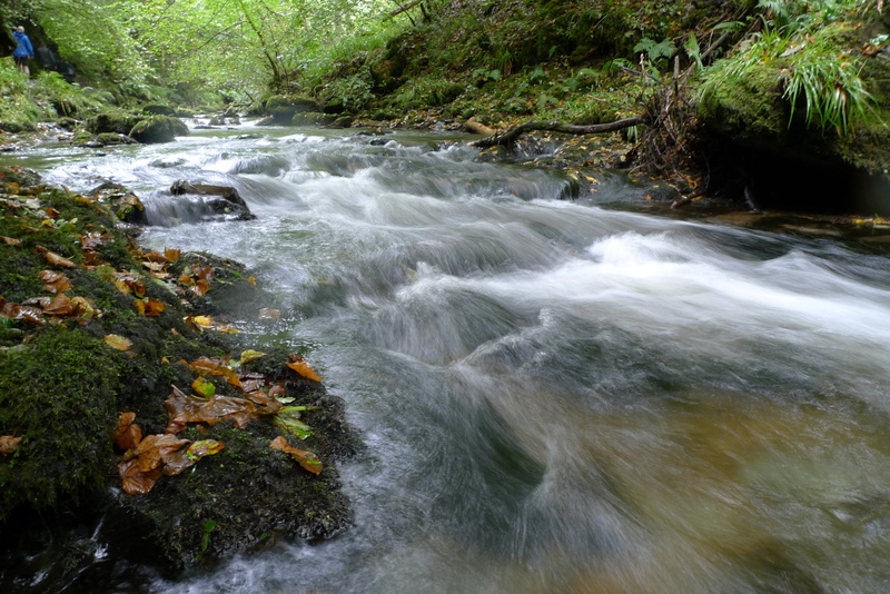 rock - Object, waterfall, outdoors, nature, Cheesy, running, green Color, flowing, Lydford Gorge, wet, longexposure, forest, running water, plants, water