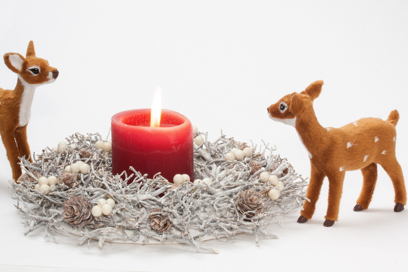 flame, no people, cold temperature, peace, atmosphere, burning, fire, decoration, animal representation, red pillar, christmas decoration, winter, greeting card