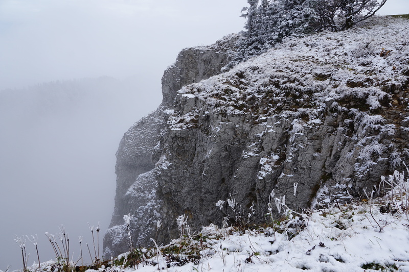 beauty in nature, jura, snow, scenics - nature, no people, rock, mountain, plant, rock - object, cold temperature, mountains, tree, solid, mountain peak