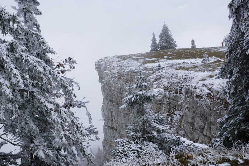 stone wall, snowing, nature, swiss jura, 5K, woodland, snow, noiraigue, winter, wall, plant, landscape, white, ice, tree, snowcapped mountain, mountain
