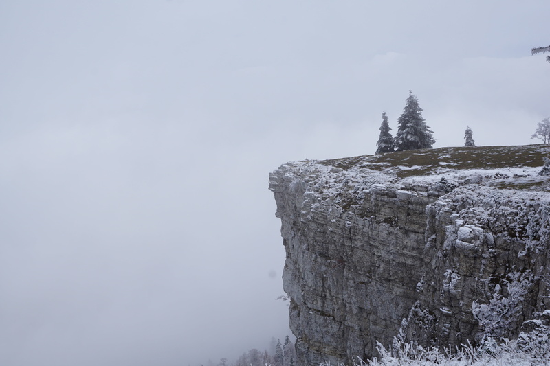 land, snow, tree, scenics - nature, 5K, environment, mountain peak, rock - object, beauty in nature, nature, cold temperature, pine woodland, sky, outdoors