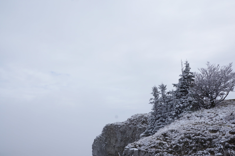 sky, non-urban scene, outdoors, low angle view, mountain peak, cliff, snowfall, jura, tranquility, snow, tree, creux du van, trees, no people, cloud - sky