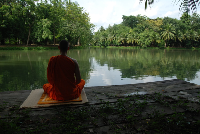 real people, lifestyles, daytime, body, relaxation, inner, nature, beauty in nature, scenics - nature, tranquility, tree, concentration, man, non-urban scene