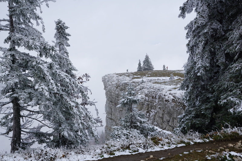 nature, cliffs, coniferous tree, non-urban scene, trees, tree, environment, tranquil scene, snowing, beauty in nature, no people, swiss jura, mountain