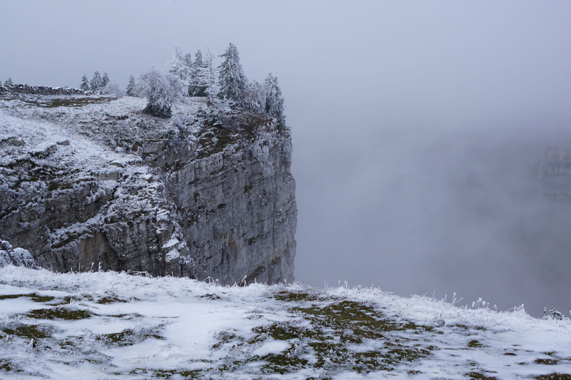 tree, Noiraigue, tranquility, cliffs, mountains, no people, tranquil scene, scenics - nature, nature, winter, plant, Creux Du Van, beauty in nature, white
