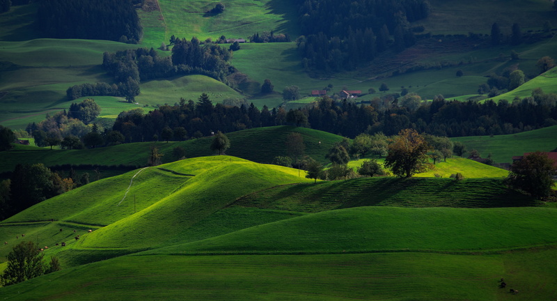 switzerland, rural scene, tranquil scene, hirzel, farm, green, tranquility, scenics - nature, hill, outdoors, landscape, agriculture, nature, green color