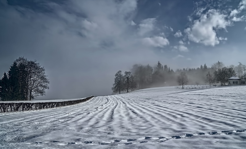 scenics - nature, cloud - sky, non-urban scene, beauty in nature, tranquil scene, no people, 4K, nature, winter, switzerland, environment, farm, plant
