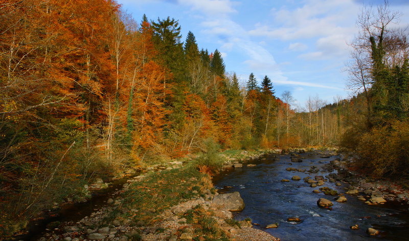 no people, cloud - sky, change, non-urban scene, plant, tranquil scene, forest, beauty in nature, water, rock, leaves, tree, 8K, river, landscape, autumn
