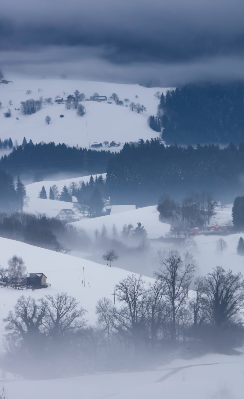 environment, house, tranquil scene, monochrome, tree, mist, woodland, hazy, snow, cloud - sky, scenics - nature, tranquility, land, leafed, looking down