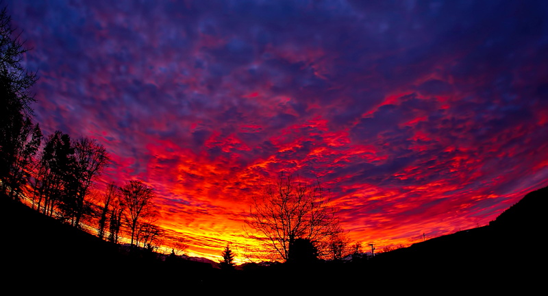 tranquil scene, hirzel, red, beauty in nature, scenics - nature, sunset, idyllic, sunrise, plant, landscape, tree, 4K, non-urban scene, cloud - sky, dramatic sky