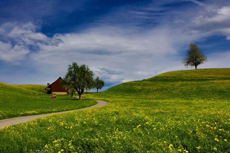 outdoors, tree, flower, near, curve, cloud - sky, tranquil scene, day, red, no people, road, spring, grass, architecture, idyllic, built structure, sky