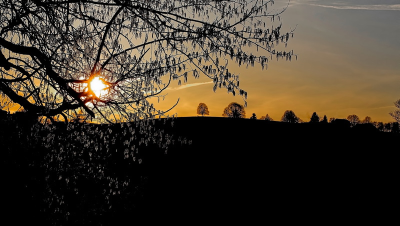 landscape, trees, outdoors, switzerland, sky, shadow, hirzel, sun, silhouette, 5K, branch, growth, lens flare, autumn, sunlight, hill, mountain, tranquility