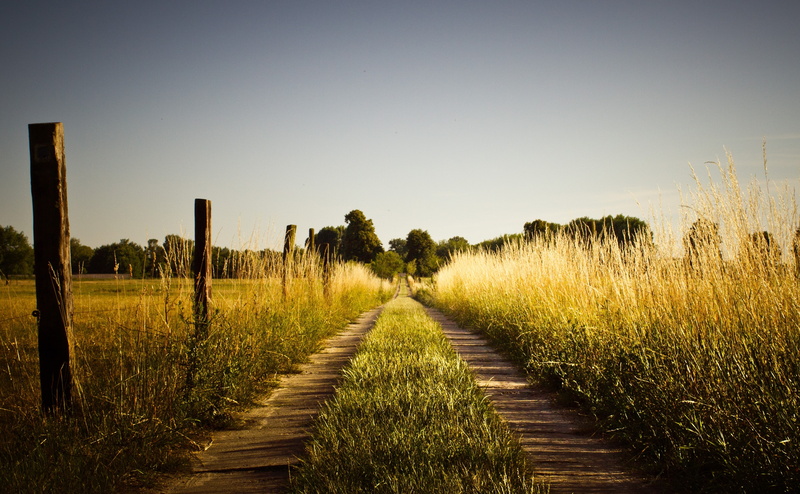 scenics - nature, direction, tranquility, Road, agriculture, land, Country, footpath, grass, field, Late, tranquil scene, the way forward, sky, tree, Summer