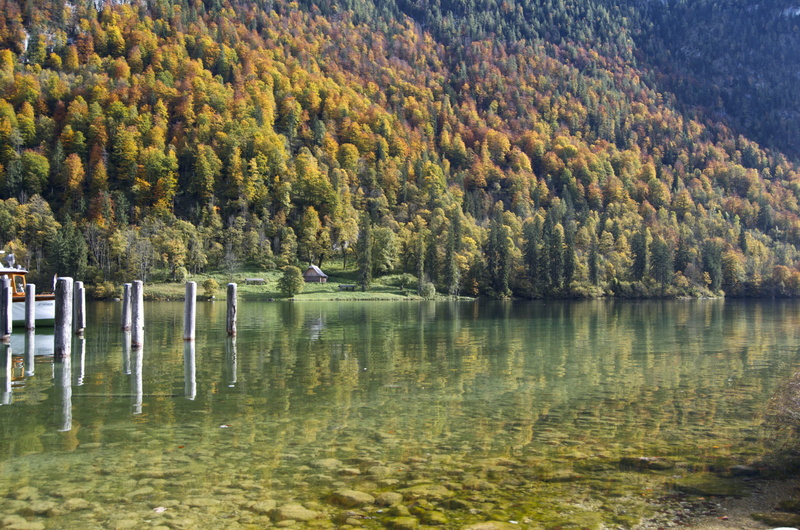 königsee, tree, late summer, plant, mountain, no people, growth, scenics - nature, forest, day, germany, landscape, outdoors, waterfront, non-urban scene