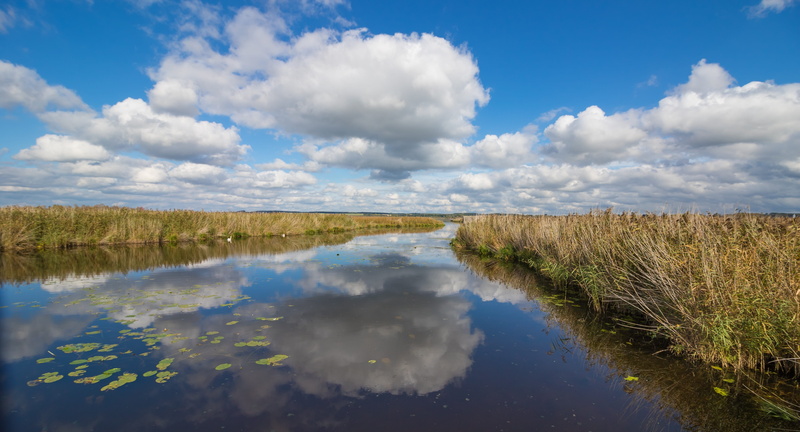 white, late summer, land, world heritage, moor, non-urban scene, nature reserve, nature conservation, unesco, lake, nature, spring lake, day, wetland, clouds