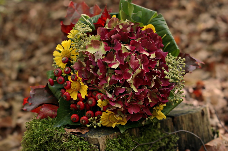 plant part, postcard, flower, growth, bunch of flowers, close-up, high angle view, beauty in nature, vulnerability, tree stump, autumn bouquet, bouquet