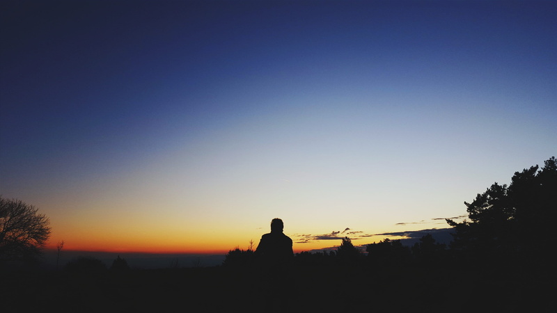 plant, photo, tranquil scene, sillhouette, outdoors, leisure activity, male, viewing sunset, tranquil, scenery, people, orange color, copy space, beauty in nature