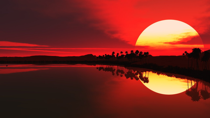 palm, red, sillhouette, trees, lakes, 1080P, water, sunrise