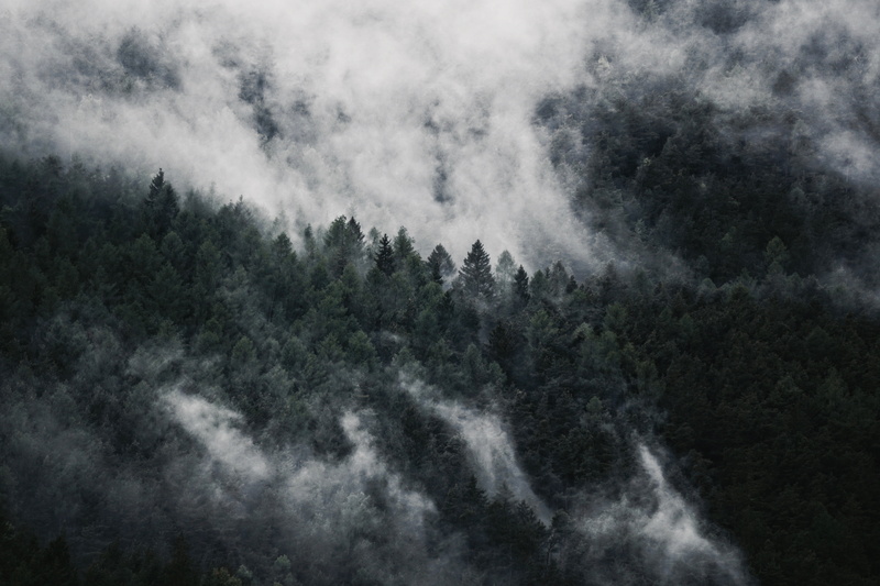 5K, trees, idyllic, sky, green, plant, pine woodland, outdoors, smoke - physical structure, land, scenics, view, coniferous tree, mountain, backgrounds