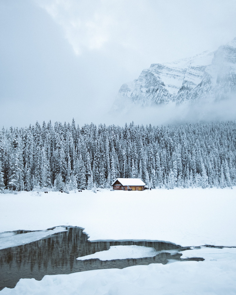 winter cabin, sky, coniferous tree, plant, body, brown, canada, pine tree, trees, beside, cozy, landscape, fog, foggy, 4K, range, no people, cabin, nature
