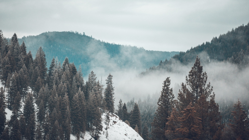 5K, montana, moody, clouds, winter, woodland, tranquil scene, cold, pine woodland, hill, beauty in nature, surround, landscape, outdoors, scenics - nature