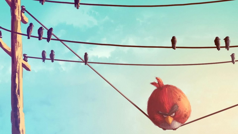 red bird, heavy, pole, bird, powerline, 1080P, hd, angry birds, angry