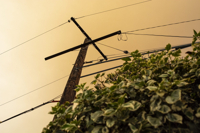 plant, fuel and power generation, low angle view, telephone line, no people, leaf, sky, tree, day, technology, powerline, power line, electricity pylon