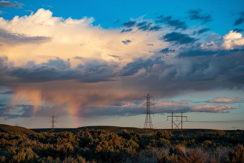 5K, cloudy, scenics - nature, trees, energy, electricity pylon, electricity, travel, beauty in nature, green, silhouette, clouds, outdoors, daylight, cloud - sky