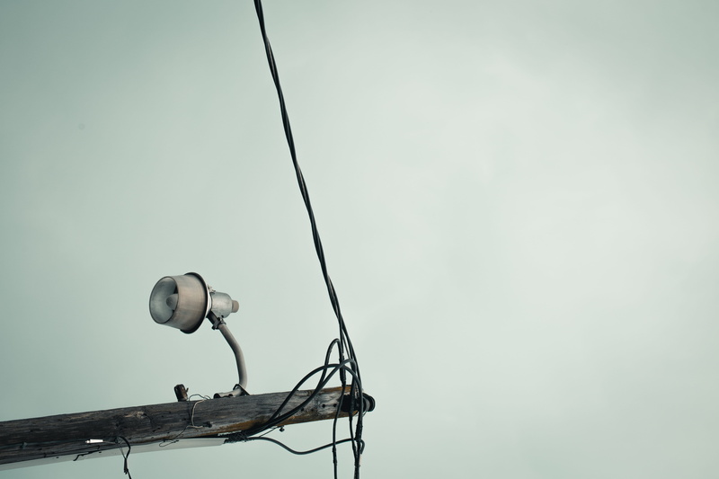 animal, nature, vertebrate, outdoors, 5K, communication, telecommunications equipment, lighting equipment, clear sky, no people, light, cloudy, cable