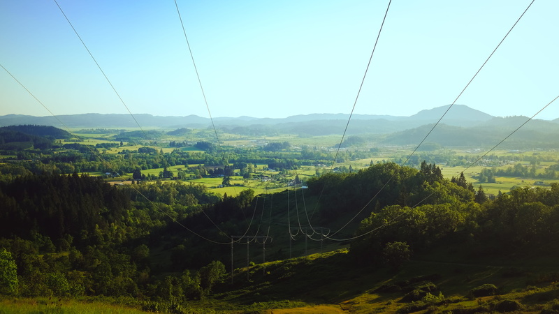 beauty in nature, electricity, nature, powerlines, green color, clear sky, vista, united states, 4K, mountain, tree, landscape, environment, plant, day