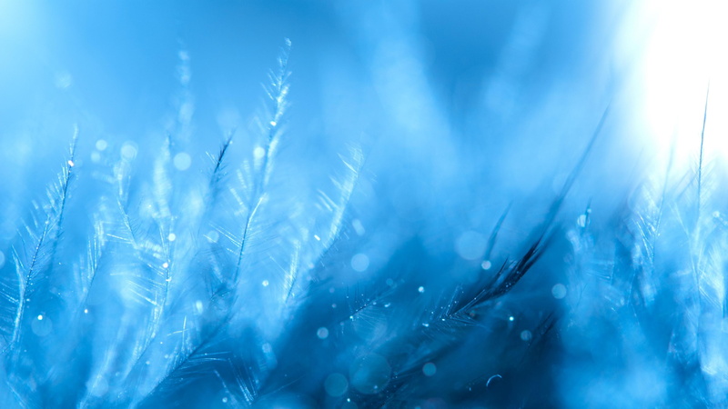 light, 4K, cool, ripple, feather