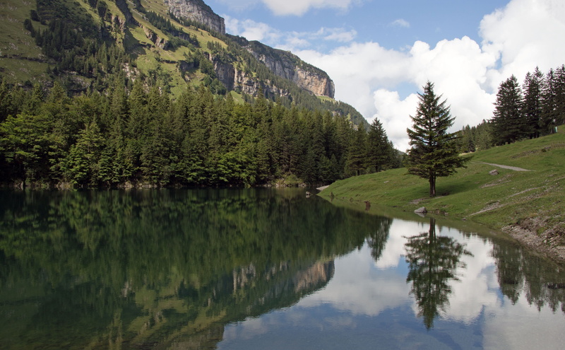 lake, coniferous tree, cloud - sky, plant, reflection, outdoors, water, tranquility, pine woodland, mountains, mirroring, tranquil scene, growth, hiking tour