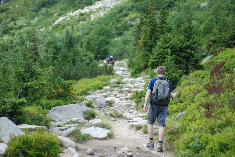 tree, Hiking, travel, outdoors, non-urban scene, green color, mountain, landscape, hiking trails, on the trail, people, mountains, land, peace of mind