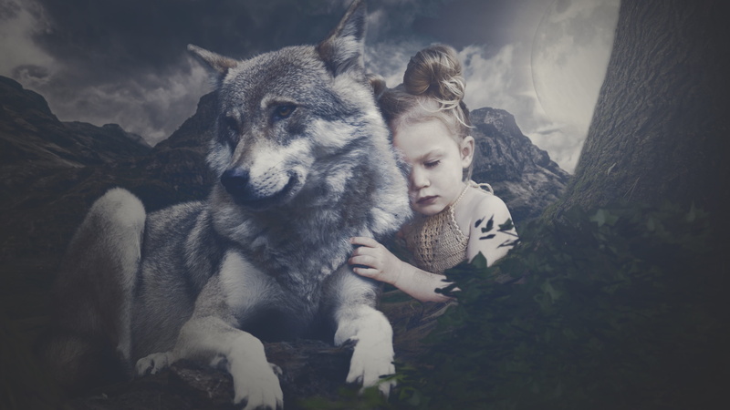 real people, outdoors, nature, domestic animals, girl, mammal, land, animal, pets, landscape, night, one animal, moon, lifestyles, wolf, women, tree, child