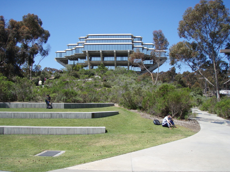 no People, growth, california, soccer, tree, nature, Geisel Library, color Image, men, clear sky, San Diego, travel destinations, built Structure, stadium