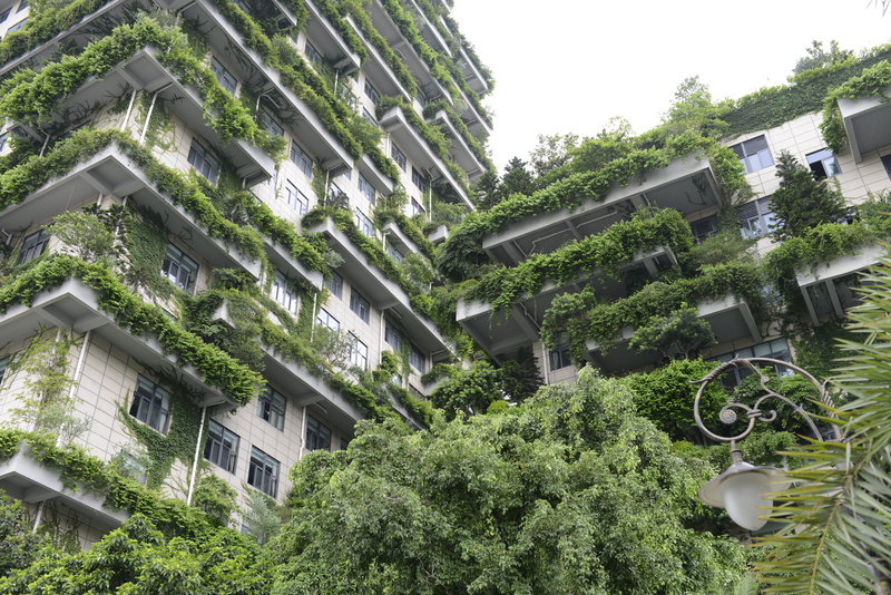 no people, built structure, house, roof, plant, building exterior, nature, concrete, green, tree, sky, green color, 5K, low angle, city, window, building