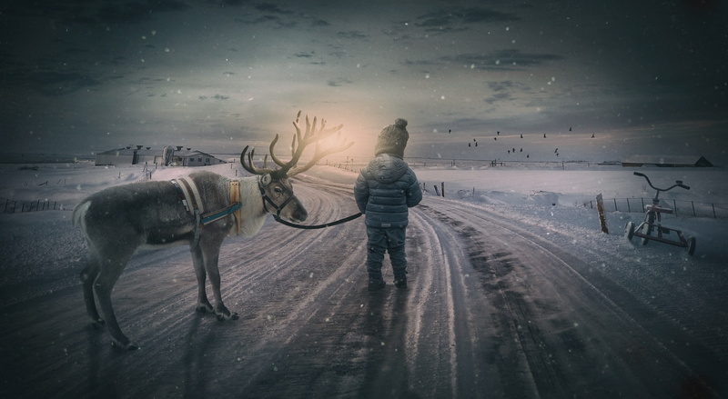 Reindeer, Photoshop, memories, 1080P, Landscape, Seasons, childhood, child, Road, Winter, Moose, photo manipulation, Snow
