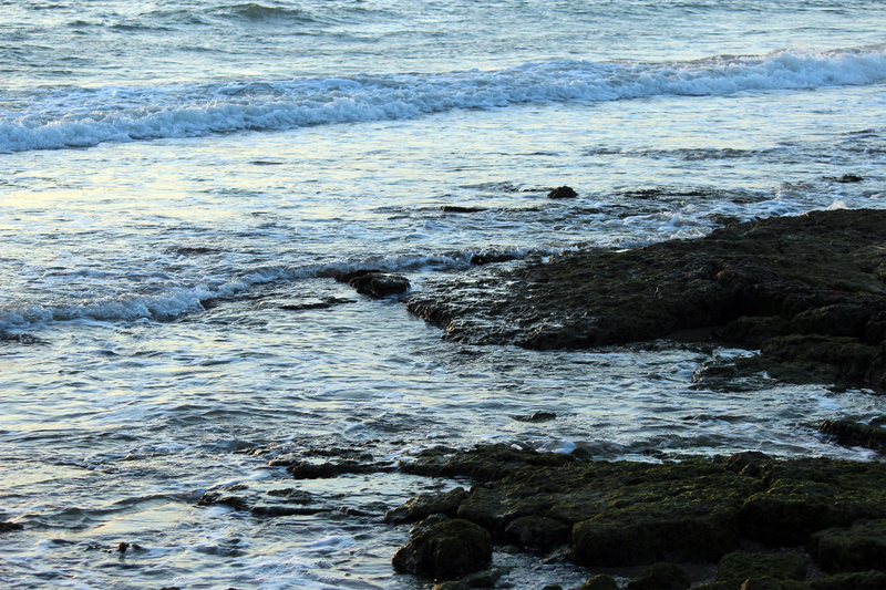 beauty in nature, steinig, nature, sea water, scenics - nature, mediterranean, surf, outdoors, flowing, waters, surfing, day, swell, beach, aquatic sport
