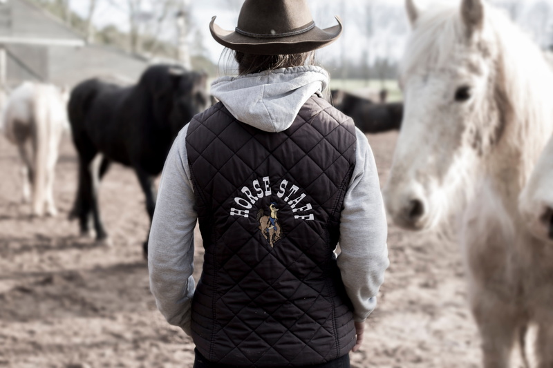 Staff, cattle, ranch, domestic cattle, horse, domestic animals, 5K, day, print, outdoors, leather, hat, pets, group of animals, rural Scene, riding, mammal