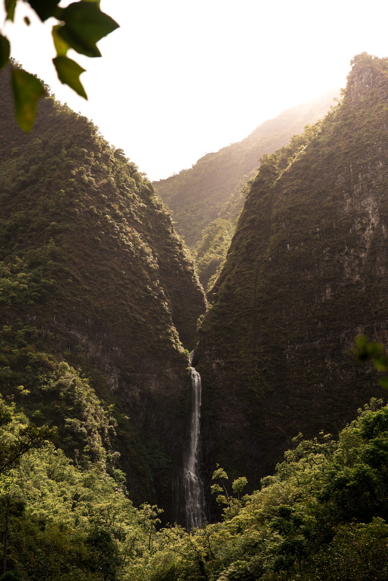 rock, scenics - nature, mountain, tranquility, napali, mountain range, tree, cliff, leaf, sky, outdoors, time, lapse, beauty in nature, plant, environment