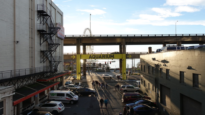 sign, building, water, nature, canal, united states, nofilter, mode of transportation, day, car, outdoors, bridge, connection, motor vehicle, street scene